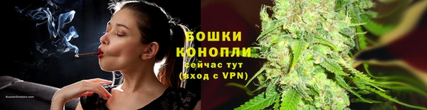 спайс Пересвет