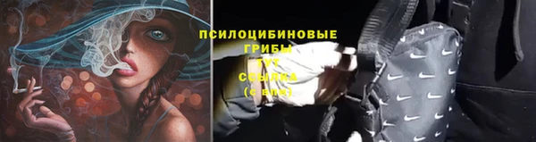 мдпв Покров