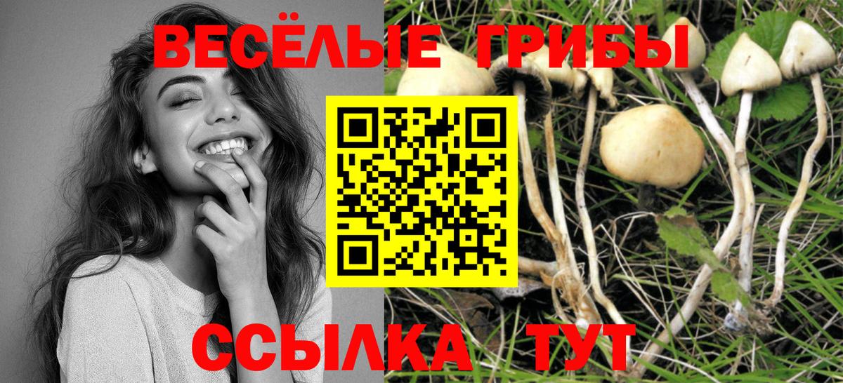 Галлюциногенные грибы GOLDEN TEACHER Арсеньев