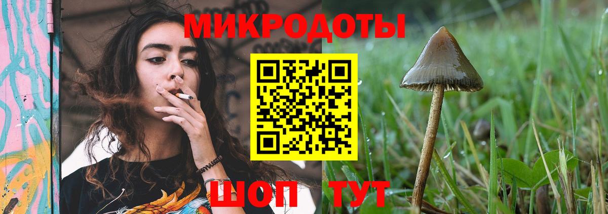 Арсеньев  Псилоцибиновые грибы Cubensis  Псилоцибиновые грибы мухоморы  Вход с VPN 